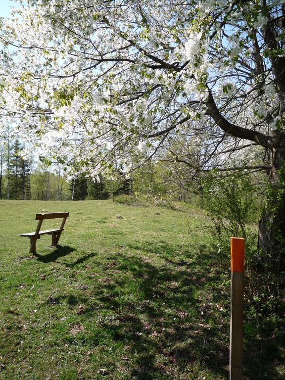 Valle Vandrarhem Axvall Zewnętrze zdjęcie